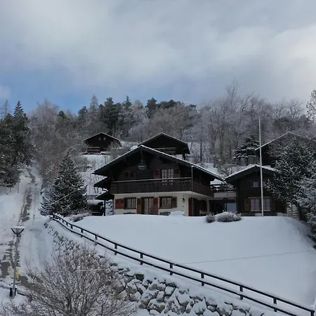 Mi Sueno - Beautiful Chalet In The Heart Of Valais Chalet Vercorin